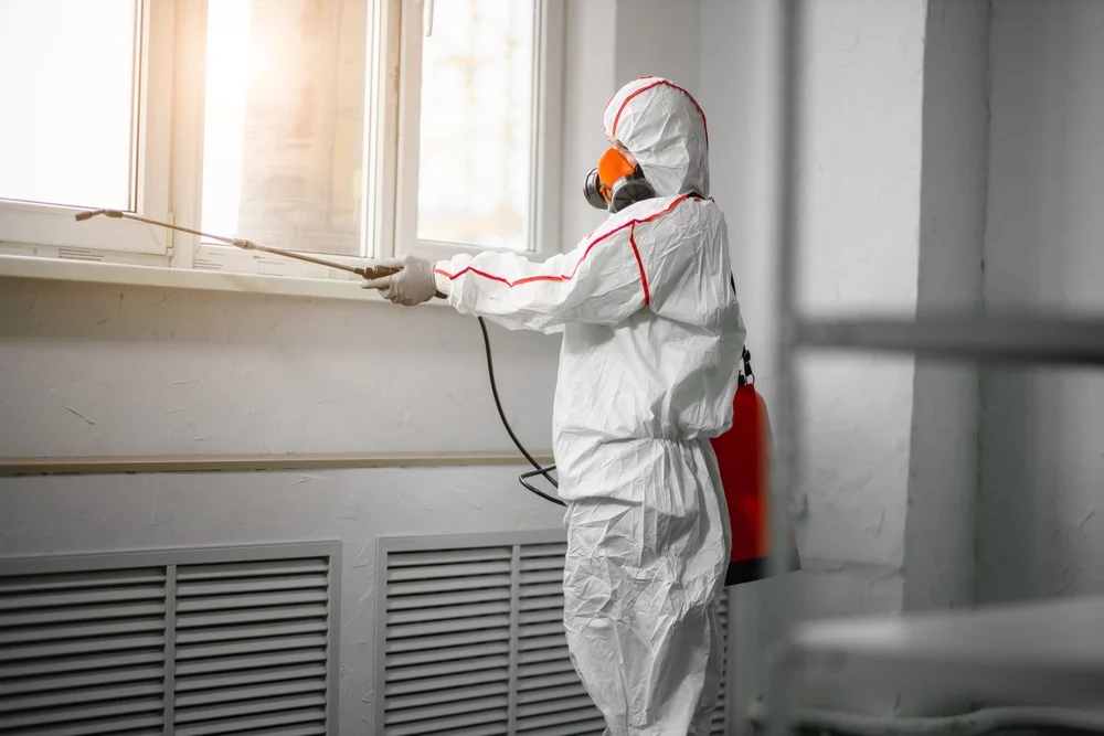 Professional mold remediation services in Zionville, NC